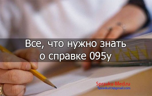 Справка 095/у Справка 095/у